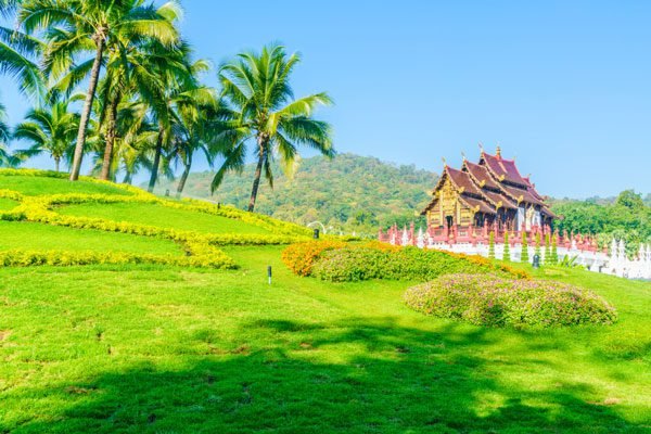 Munnar – Le paradis vert